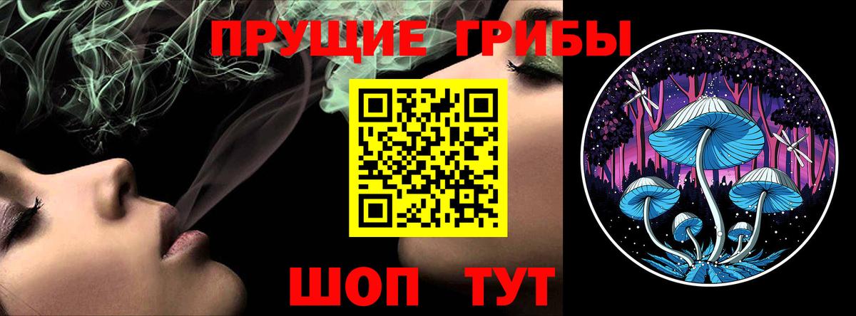 Псилоцибиновые грибы Psilocybine cubensis Кохма