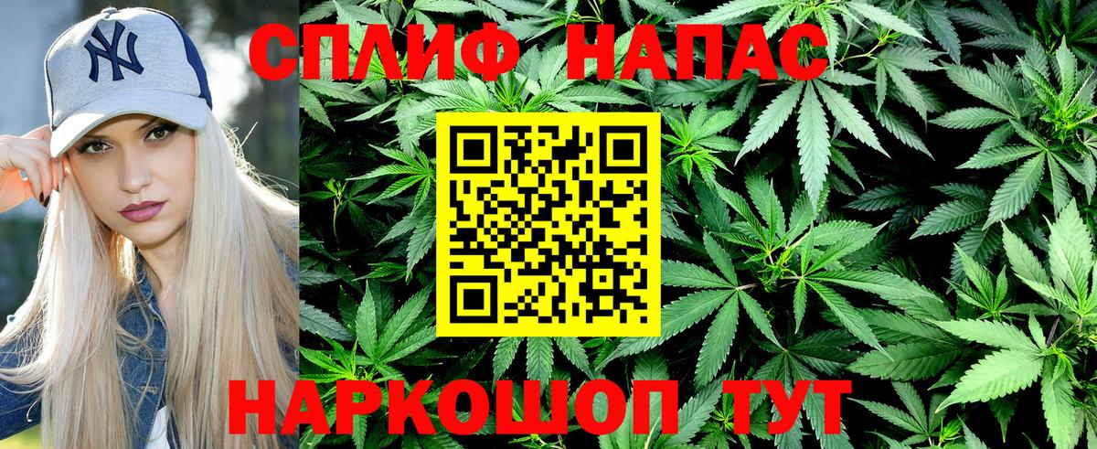Кохма  Каннабис план  Бошки Шишки AK-47  Вход с VPN  Канабис Amnesia 